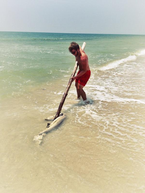 ktcordes's tweet photo. Tito the shark slayer @TrentWaddell31 http://t.co/DKikNooQfh