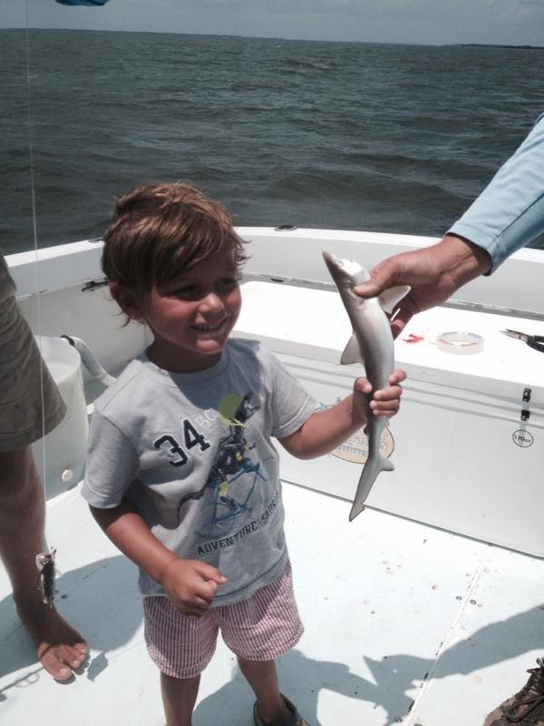 dkylelong's tweet image. Oh just catching sharks.