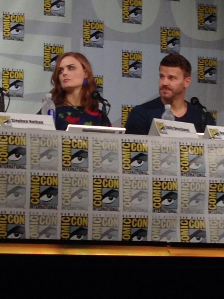 comic-con2014dsdcc