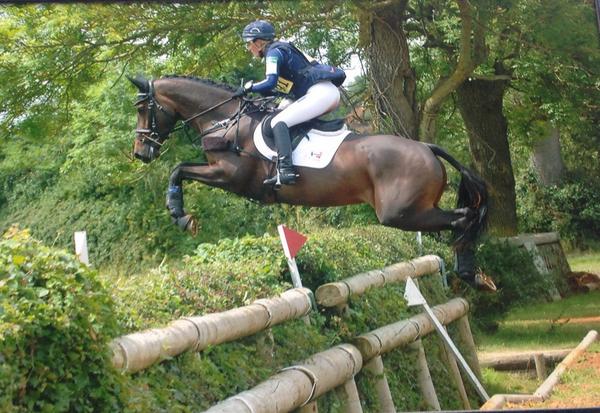 BDAequestrian1's tweet photo. I do it because the passion to perform runs in my blood #mysport I am lucky enough that my passion is also my living http://t.co/zLJuu9GM55
