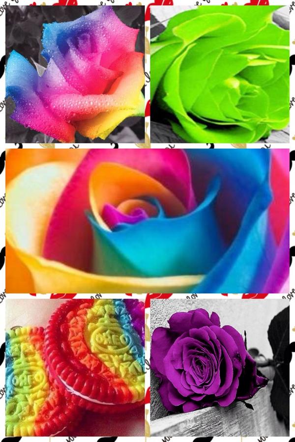 KBsassy90's tweet photo. Nice collage! http://t.co/Gb941cHc5p http://t.co/CNQRzlpjia