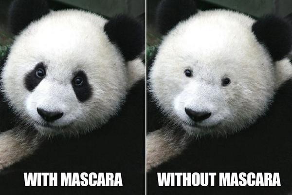 Imageshoppers's tweet photo. Don't forget your makeup this weekend!  #FridayFunny #Makeup #Smile #Imageshoppers http://t.co/XH2uZ9VYkH