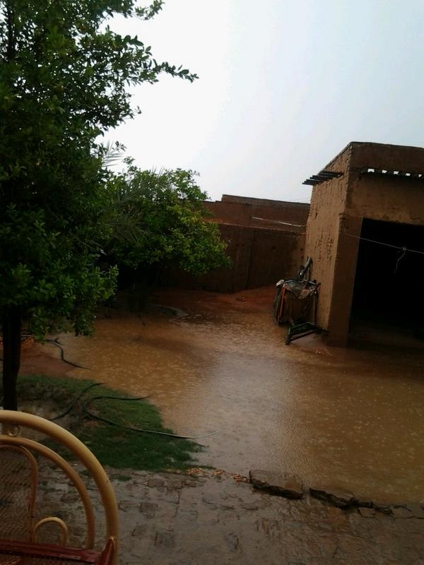 yasersharef tweet picture