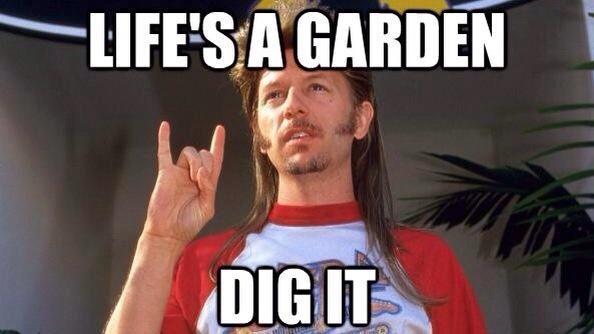 CloydRivers's tweet photo. Merica. http://t.co/Hp8V5B8dtg