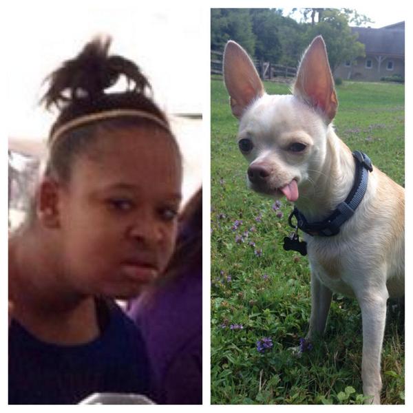 kaydwill's tweet image. Bitch what..