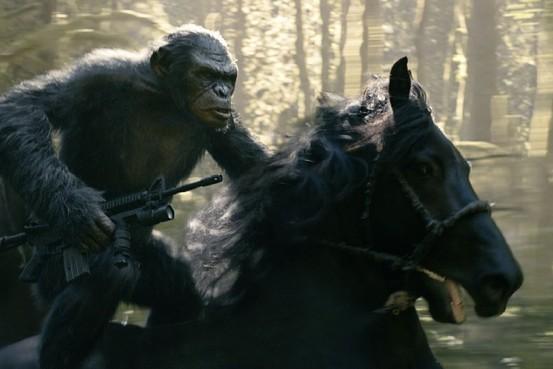 GangstaJournal's tweet image. ‘Dawn of the Planet of the Apes’  j.mp/1pxGrtK
  #centuryfoxinc #sextape #sonycorp #twentiethcenturyfox