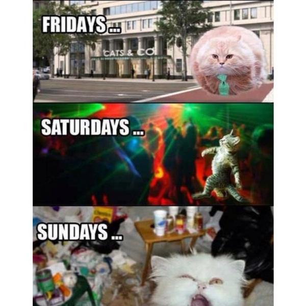 DenverUnleashed's tweet image. Our weekend in review. Starting now!