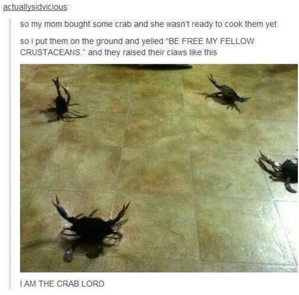 SpeakComedy's tweet photo. i shouldn't be laughing as hard as i am 😂 http://t.co/m5DQXbtoRs