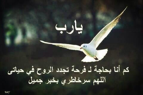 يارب فرج على غزة