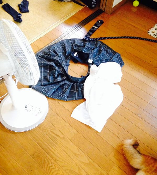 大関れいか 昨日面白くて撮ったけど 学校から帰った後の私 ただいま クーラーついてる部屋入るなり汗やばすぎなのと暑すぎるから速 スカート脱ぐネクタイはずすワイシャツ脱ぐ靴下脱ぐソファダイブ その残骸wびっくりしたわw右したはガッツのシッポな