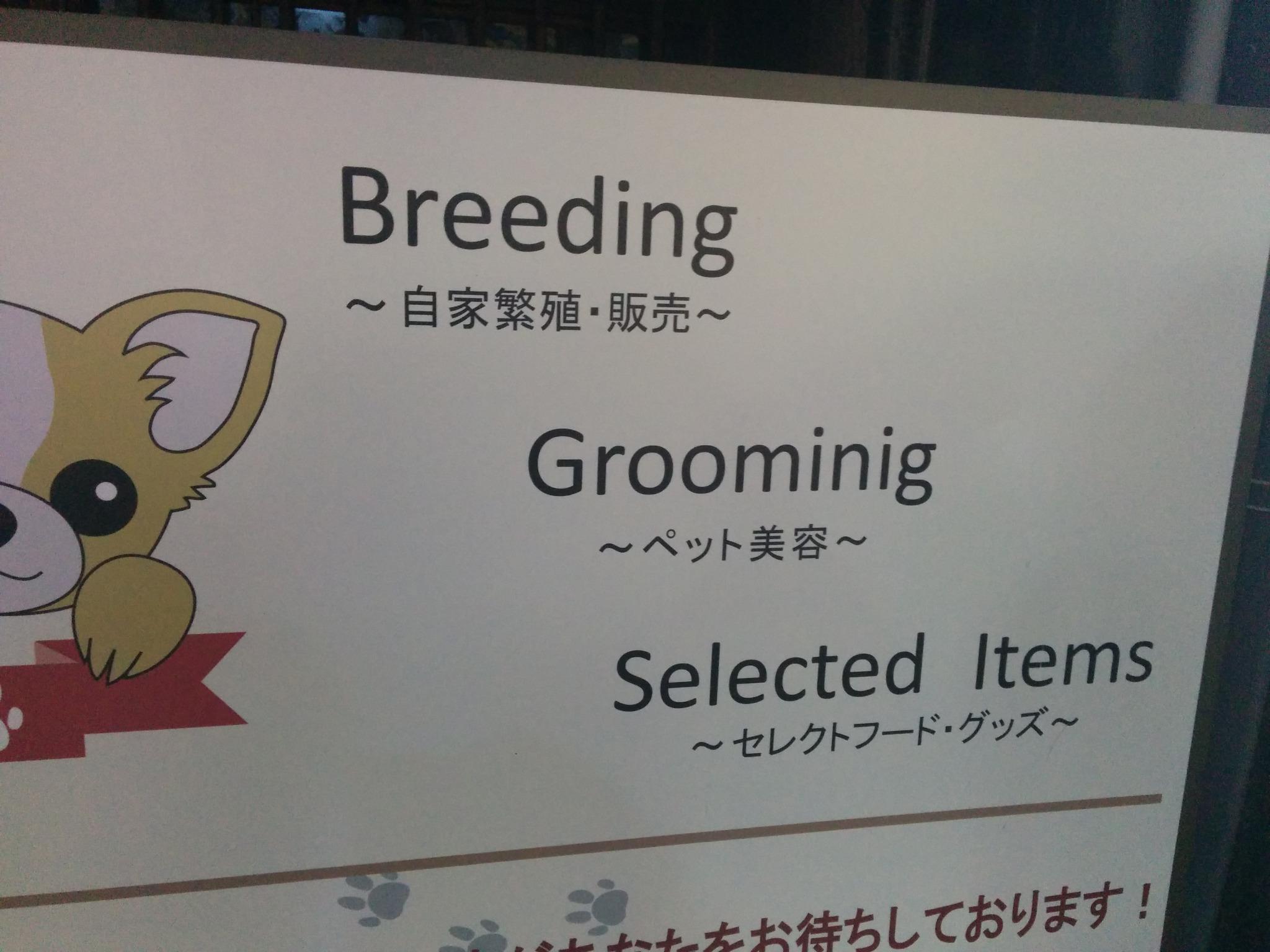 تويتر 実用英語 على تويتر 英語間違い探し とても可愛いお店ですが 看板の英語に間違いがあります どこでしょうか Http T Co Y2wcwjltem