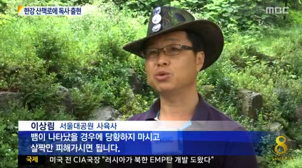 [뉴스데스크-한강 공원서 산책하다 독사에 물려…"뱀 조심 하세요"] 최근 한강공원 근처에서 뱀에 물리는 일 종종 발생. 산책시 슬리퍼보다는 운동화, 포장로 이용해야. bit.ly/WHSxsr