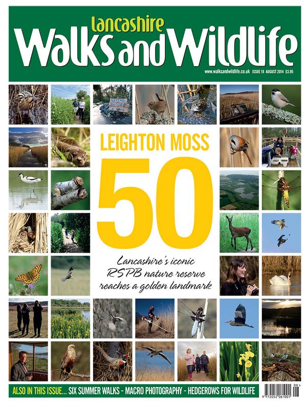 wildlancs tweet picture