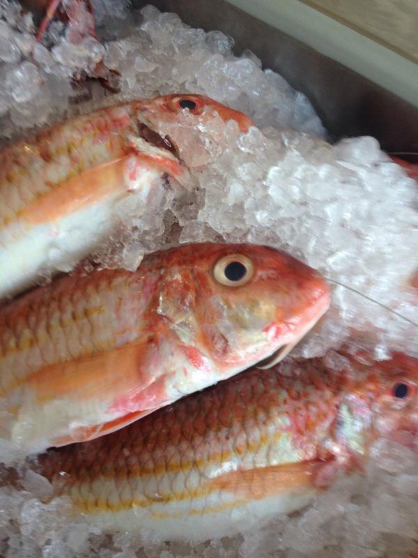 guildfordfish's tweet photo. Stunning reds http://t.co/p95B1sp7u0