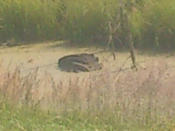 SimpleGiGis's tweet image. ......pag kur tas grāvis bij??