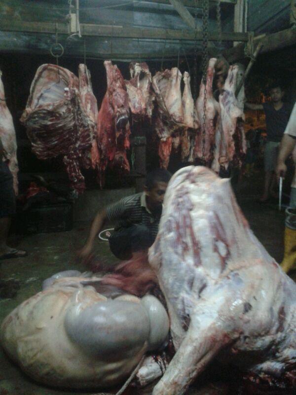 kedinggilo tweet picture