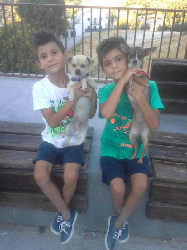 mariqsd18's tweet photo. Mis gordiitttooos http://t.co/41D6foRarG