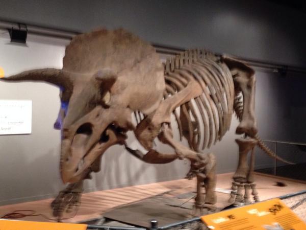 DoeringDwight's tweet photo. Where in DC is DrD? http://t.co/ExB0g6ZYix