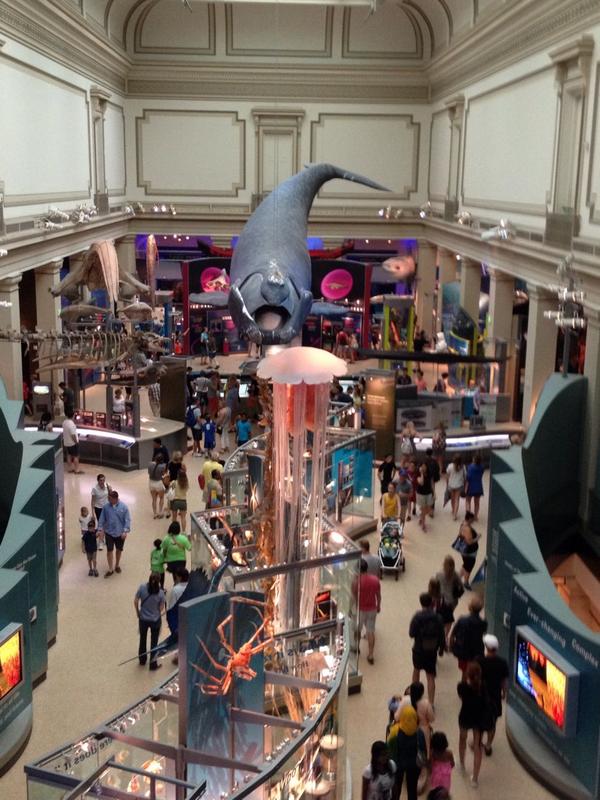 DoeringDwight's tweet photo. Where in DC is DrD? http://t.co/ExB0g6ZYix