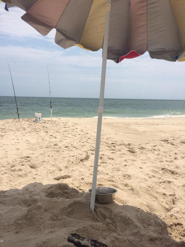 FoolPotential's tweet image. Does this invoke any jealousy? Just a few hours south of the @paperkeg HQ. #rehobothbeach #HOME