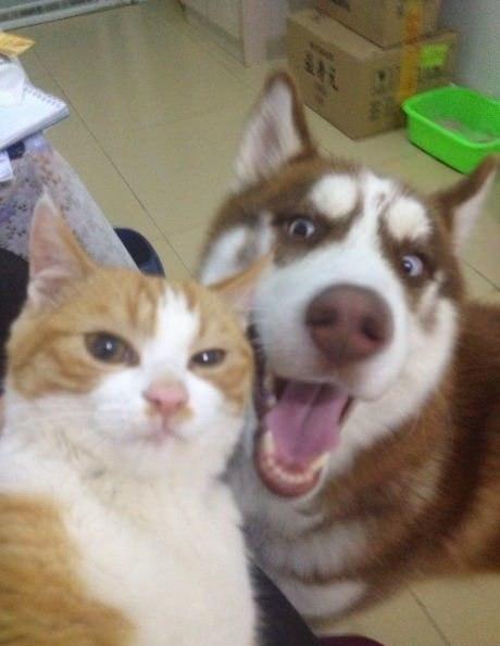 crazy_kutas's tweet photo. Единственное селфи, которое мне нравится. http://t.co/JD0tsCYRha