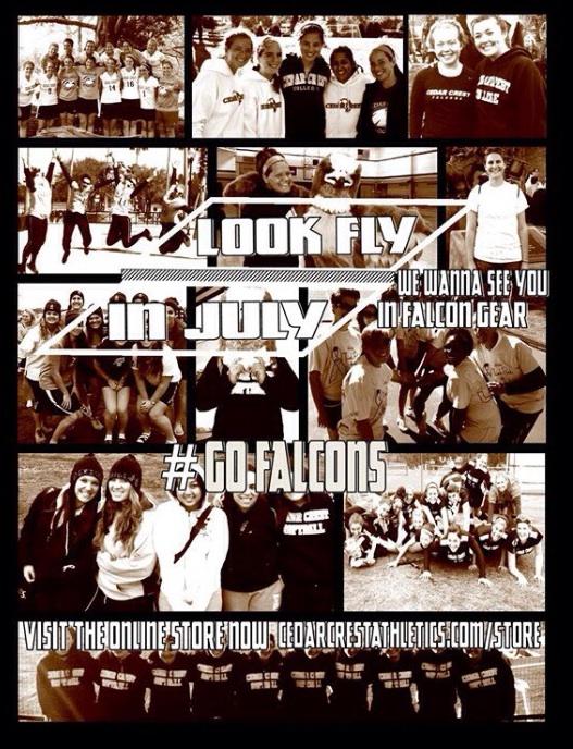 CCCFalcons's tweet image. We wanna see you in your #Falcon Gear!  Use the #FalconGear to show us your Falcon Pride!