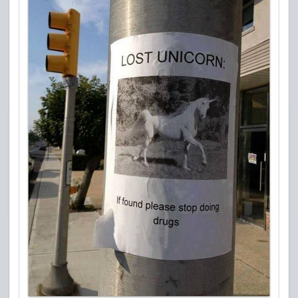 RealRonnieMagro's tweet photo. Found this @RogerMathewsNJ I figured id send you this so you can stop tweeting me about your unicorns http://t.co/nMu3cxGIYn