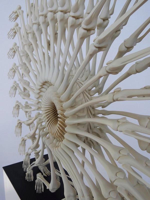 hifructosemag's tweet photo. Czech sculptor Monika Horčicová creates ornate installations with resin skeletons. http://t.co/63rYEpZVBb http://t.co/BnQfNFQo3K