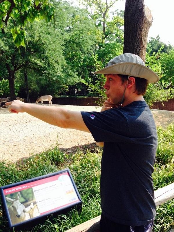 loganjmayo's tweet image. Just me checking out the Somali Wild Ass. #zoo #datass #checkingitout