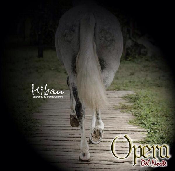 a_kerguelen's tweet photo. Tiene el apodo de "la mejor trochadora de Córdoba" y bien puesto que lo tiene Opera del @CriaderoNorte @rbecharav 🐴❤️ http://t.co/bSmExq0zwM