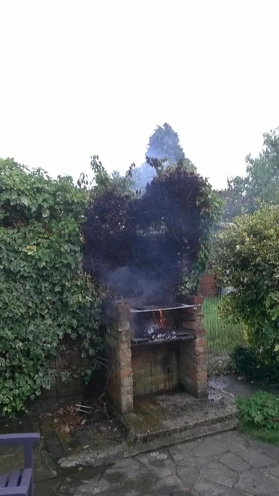 Its_corrosive's tweet photo. My dad set fire to the hedge http://t.co/vtboZSPTlV