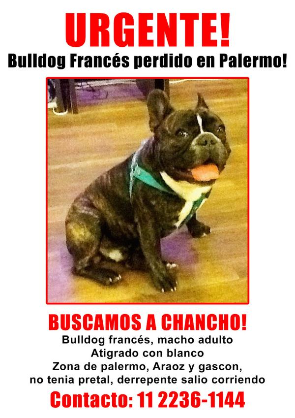 soyjeanpaul's tweet photo. @sofizamolo @paulitachaves @pedroalfonsoo @candetinelli #buscamosaChancho.. súmense al hashtag y difundan! http://t.co/t7Ln4Vk0ff