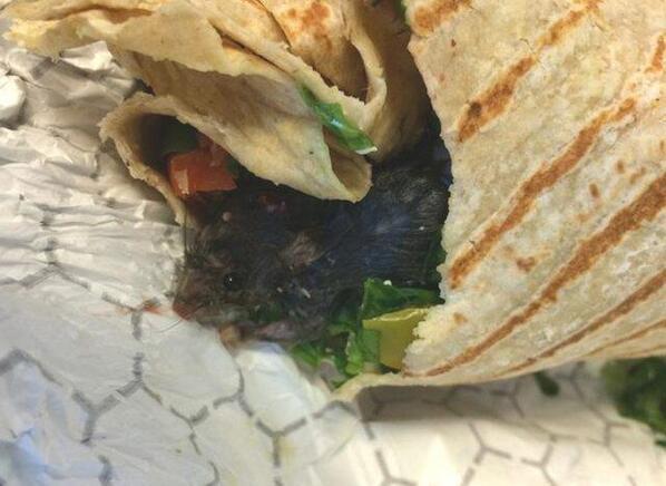 elnacionalred's tweet photo. Encuentra comensal de Estados Unidos rata en taco #RatWrap. http://t.co/LVMINqzc5Y