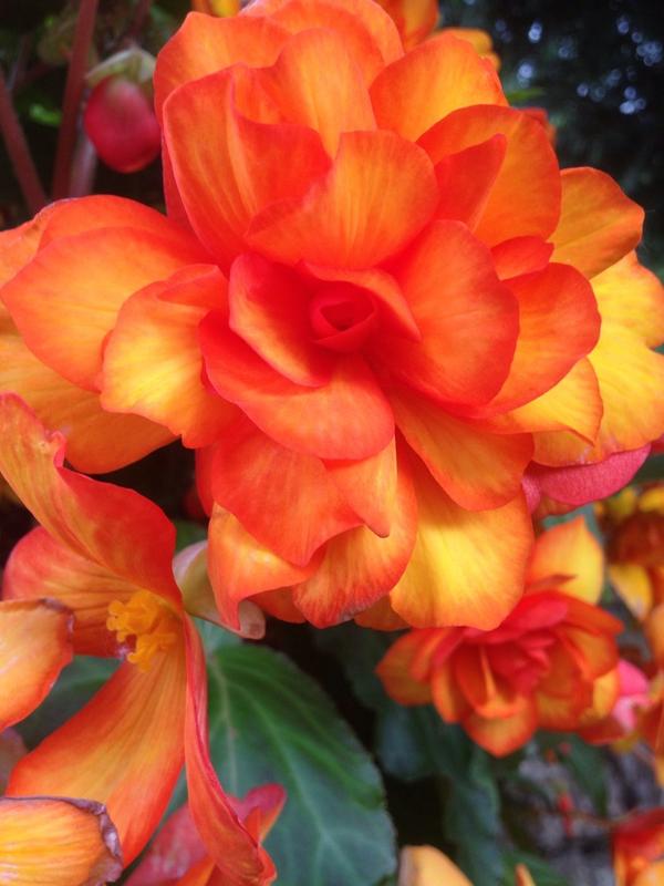 gem_bob92's tweet photo. Just Beautiful x http://t.co/rDE8hvMger