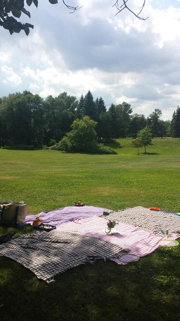 Kerrie_Ahern's tweet photo. Its picnic time at the park! #hochelaga #GoHoMa http://t.co/7Ovgmraero