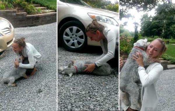 TeresaViejo's tweet image. Habéis visto el video del perro que casi se “desmaya" al ver a su dueña después de dos años??? youtu.be/rp03AorAWLY