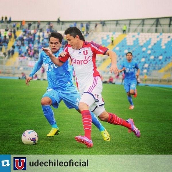 Guillermo Bustamante-Pavez tweet media