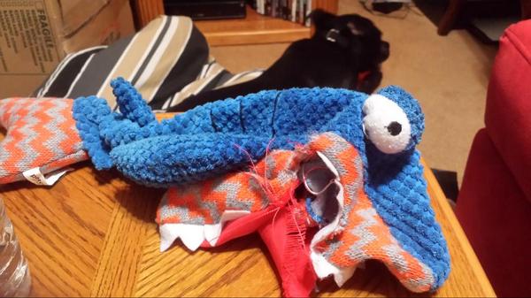DaveHynek's tweet photo. RIP Shark.  30 min ago - Now.  You were beloved.  Maybe too beloved. http://t.co/3tucGstDpQ