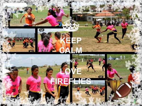 Fireflies Panama tweet media