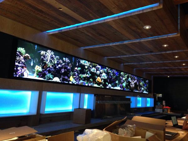 slickdesignusa's tweet photo. Horizontal matrix back bar video wall at Reverie Chicago. Opening soon see #slickdesignusa #architecture #slickbars http://t.co/xInPw6qTPR