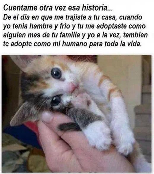 Casi me da un yeyo de amor cuando lo leí jajaj <3