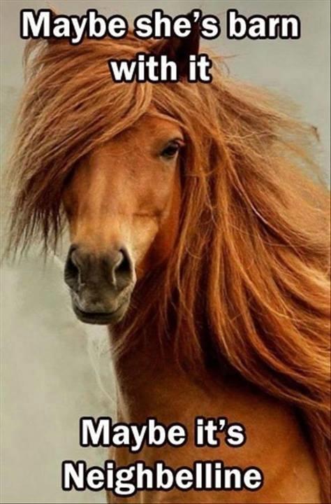 Mel_Garr's tweet photo. #beauty #horses #Maybelline http://t.co/eOfw96Q4gj