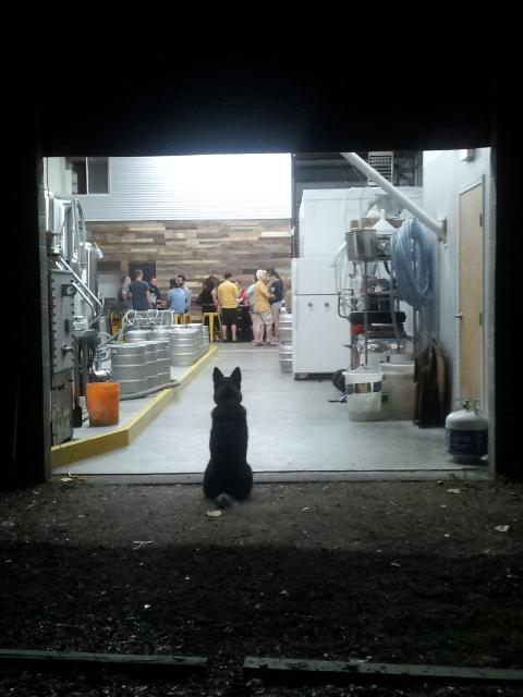 beerboxstudio's tweet photo. @YellowDogBeer http://t.co/O0sfiE3Utv