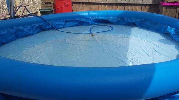 OnlyConnaair's tweet photo. >much water
>very hydrate
>so summer
>wow http://t.co/blaWX73b8W
