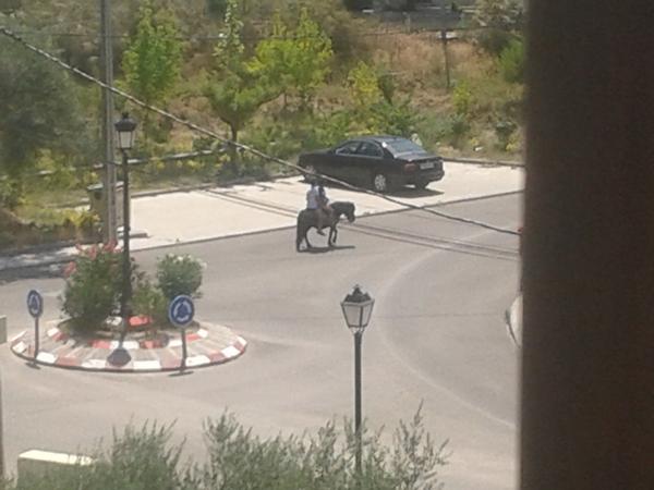 Alberto Rodríguez tweet media