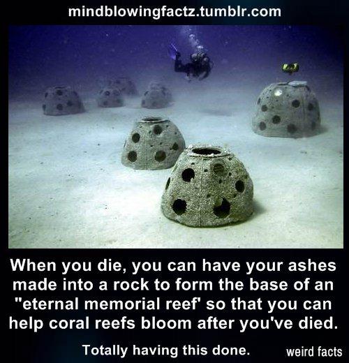 Jason Rivett (@eviljase) | Twitter