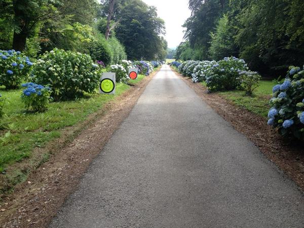 Boconnoc Rally Day tweet media