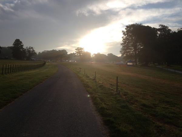 Boconnoc Rally Day tweet media