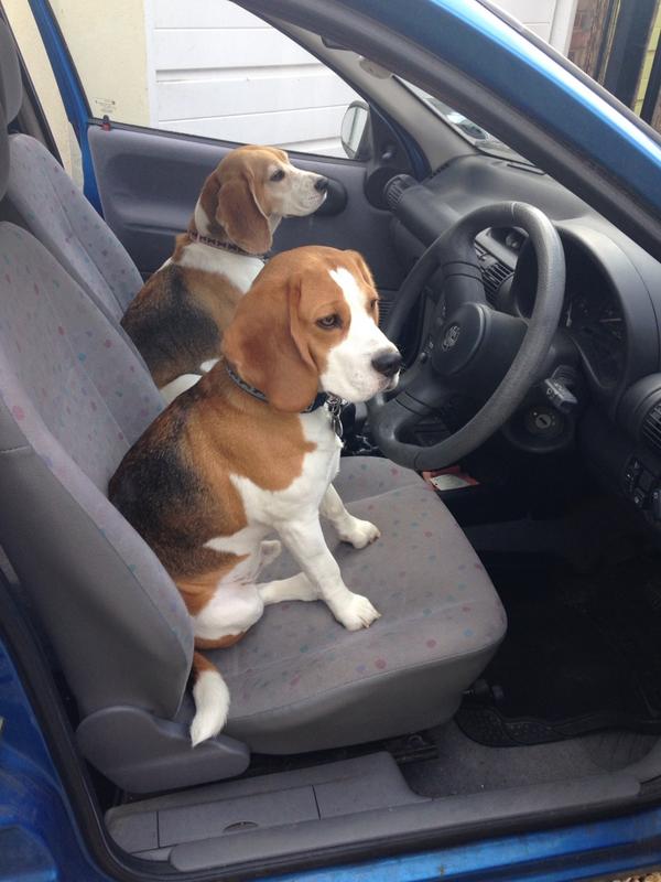 We've decided we're going to drive ourselves to the park