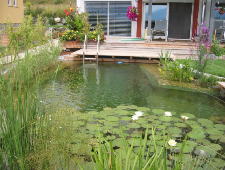 PUREWTR's tweet photo. 5 redenen om te kiezen voor een natuurlijk zwembad. Door onze collega's  @NaturalPools http://t.co/Rgf0WYJbsd http://t.co/FDB9yMGGmA”
